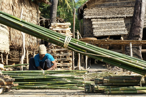 bamboo-harvesting-pole-bundles