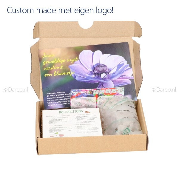 Brievenbusdoosje met anemonen. - DP4046