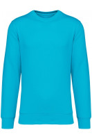 Light Turquoise