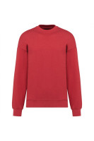 Terracotta Red